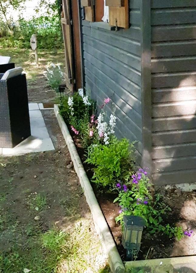 Chalet Du Moulin Cussac-Fort-Medoc Exterior foto